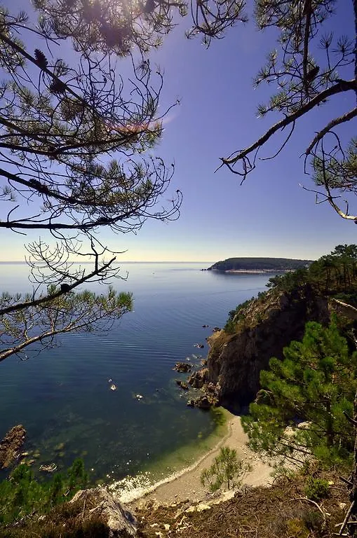 Han/Misafirhane Gite De La Baie - Morgat Holiday home Crozon